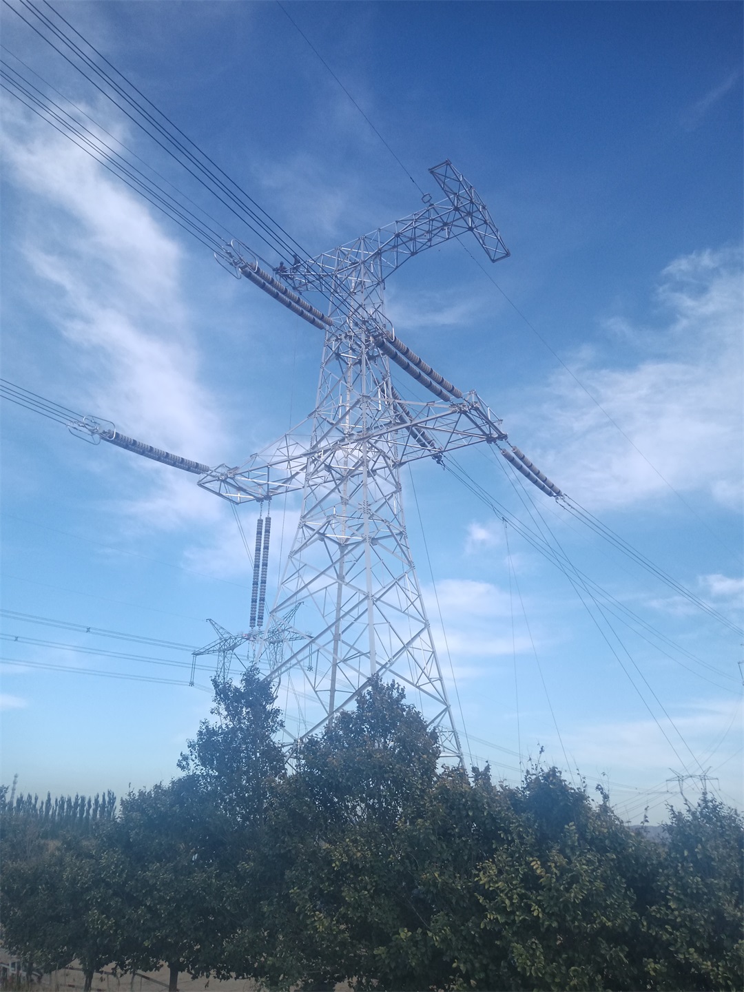 UG环球·(中国区)官方网站